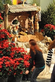 Apostolist members joined decorating the Church of St. Paul the Apostle in New York City for Christmas.