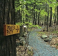 A walking path through the woods at St. Mary's on the Lake.